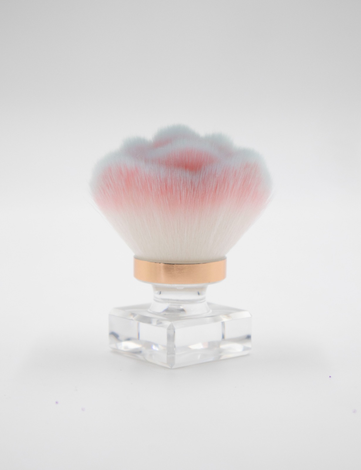 WhatsApp Image 2026-02-05 at 5.10.45 PM (1)